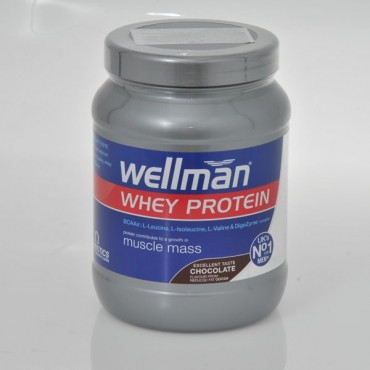 VITABIOTICS Wellman Whey Protein Chocolate 400gr